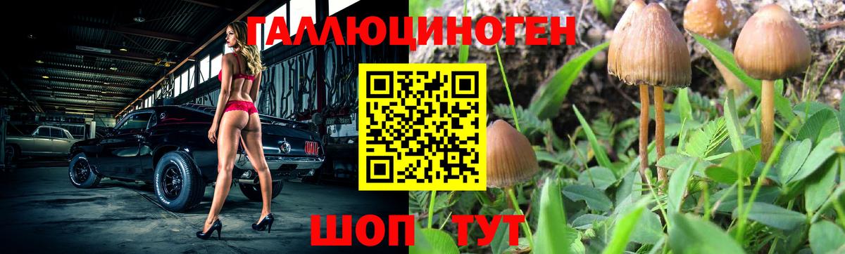 Комсомольск-на-Амуре  купить наркотики сайты  Вход с VPN  Галлюциногенные грибы Psilocybe 