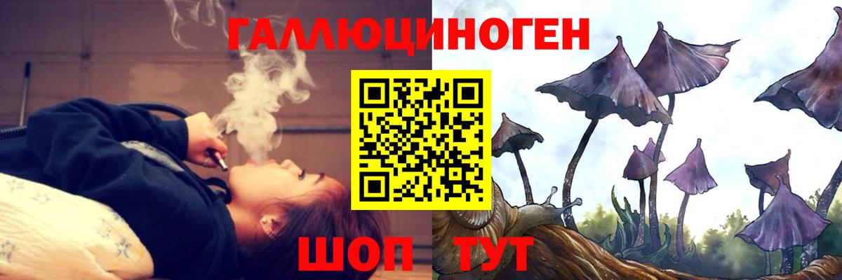 Галлюциногенные грибы мухоморы Комсомольск-на-Амуре